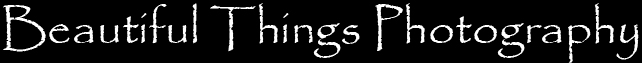 cc